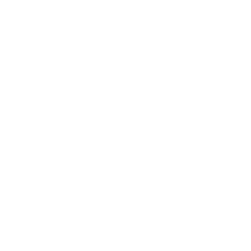 Email Icon White